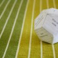 2011 Wise Dice